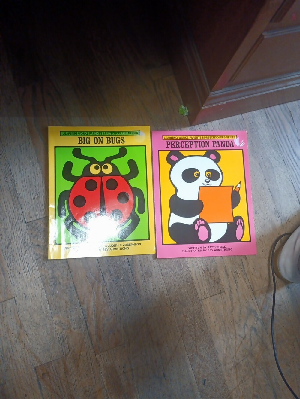 Perception Panda Kids Activity And Big On Bugs Vintage Book - Pink